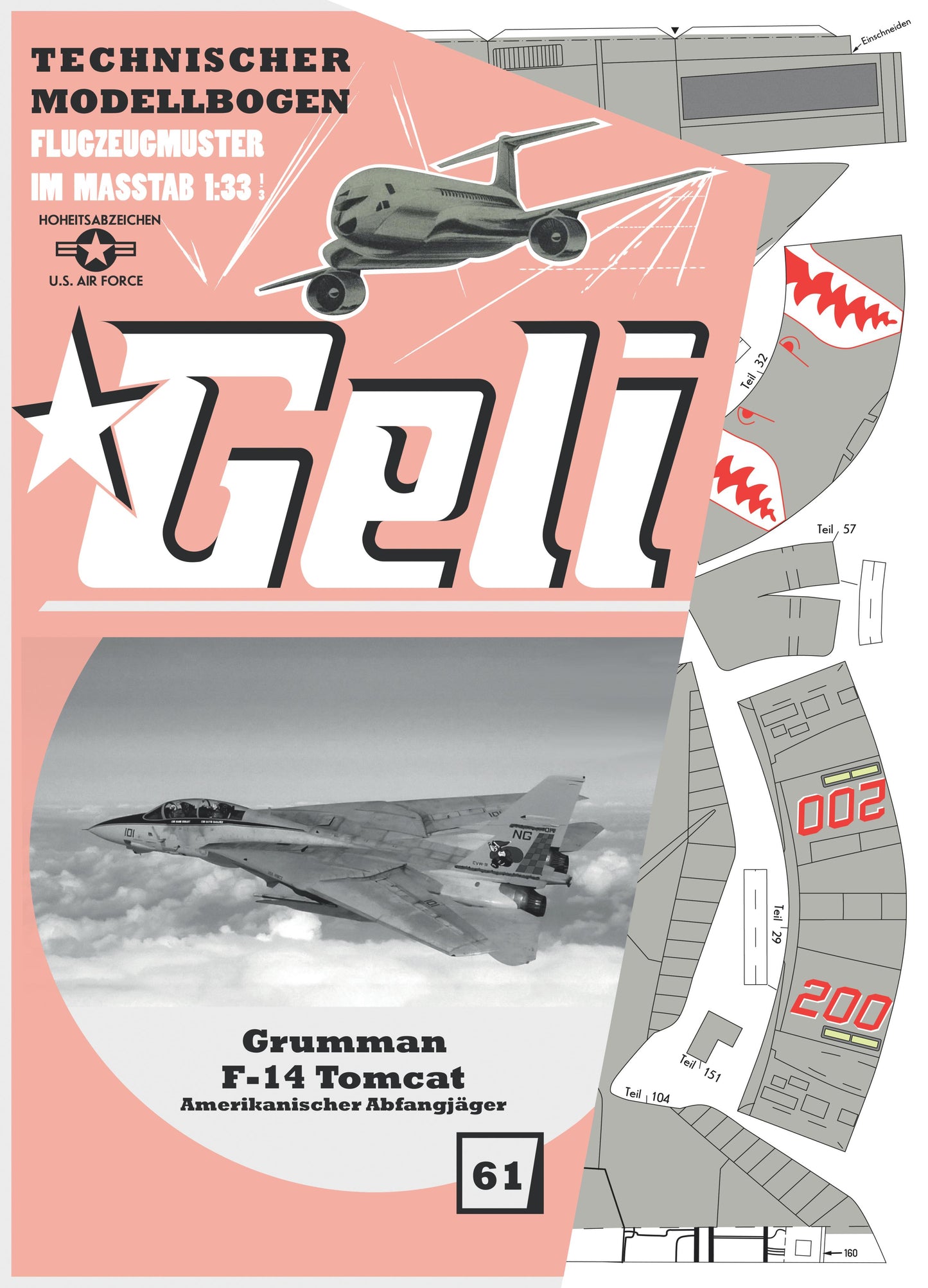 Grumman F-14 Tomcat Mehrzweckkampfflugzeug Geli
