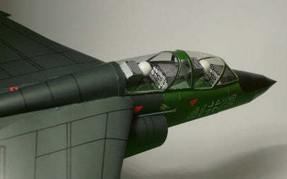 Alpha Jet JaboG 41                    Geli