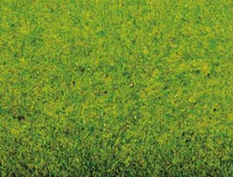 Grasmatte Frühlingswiese 1200 x 600 mm